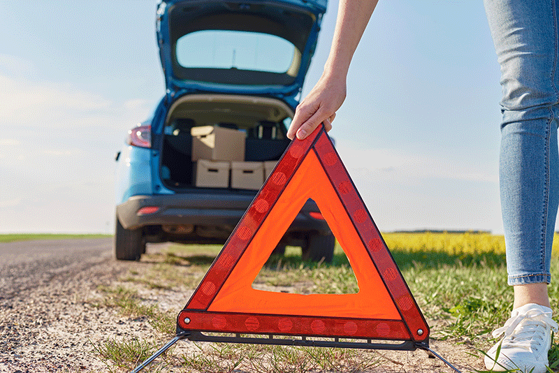 Assistance krótkoterminowe